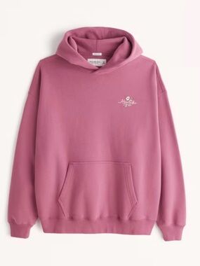 Abercrombie & Fitch Floral Embroidered Graphic Logo Popover Hoodie